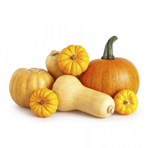 A group of gourds. Pumpkins are often used for jack-o-lanters for halloween.