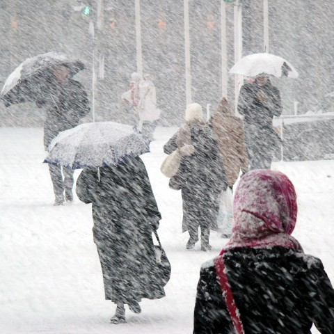 A Few Women Are Walking with Umbrellas in the Snowstorm.