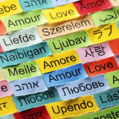 Sticky Notes with Words in Different Languages