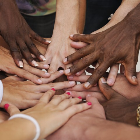 Hands of People from Different Races Joined Together