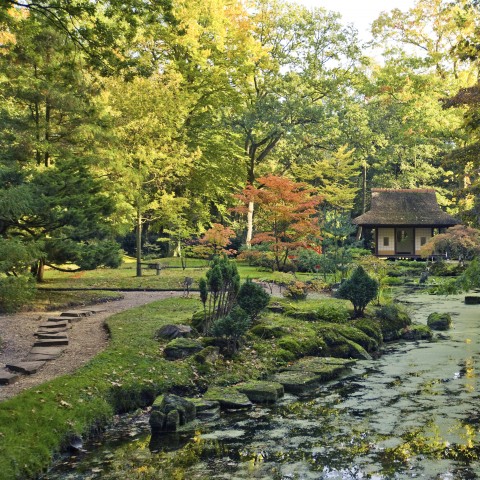 A Tranquil Garden and Temple in Japan