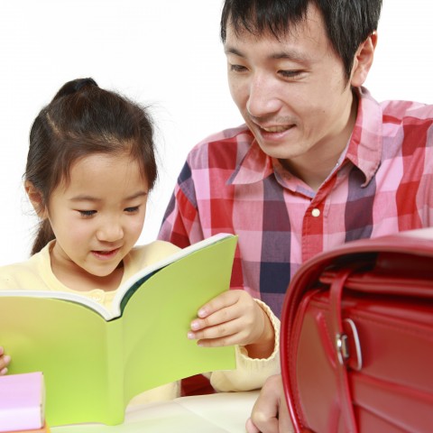 A Girl Reading a Book