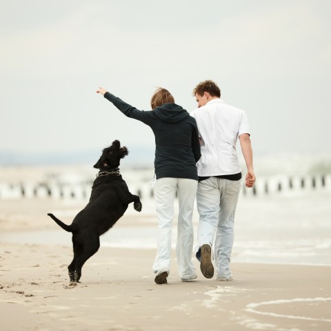 COUPLE WITH DOG ON BEACH