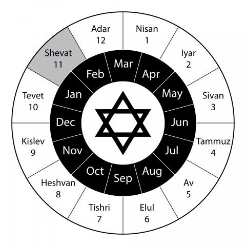 Tu BiShvat: How to Celebrate the Jewish Tree Holiday | LaptrinhX / News