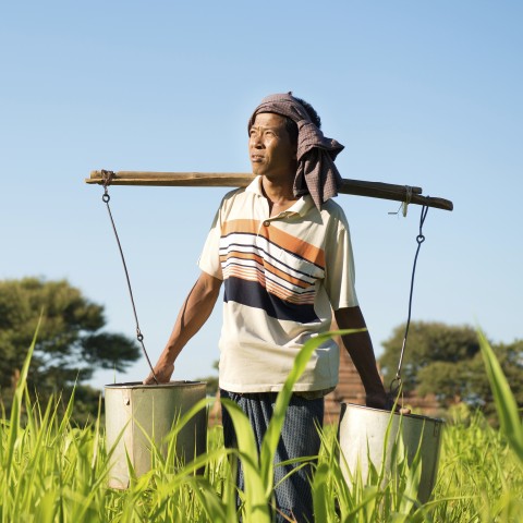 Male Farmer