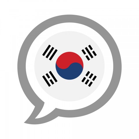 Korean Flag Image