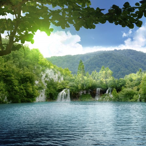 A Lovely Scene with Water and Trees