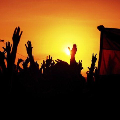 A Silhouette of Raised Hands and a Flag