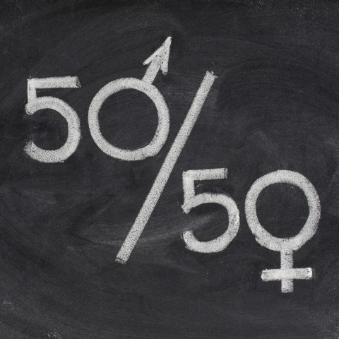 Gender Signs Representing Equality on Blackboard