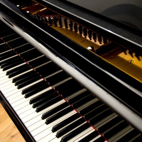 Keyboard of a Piano