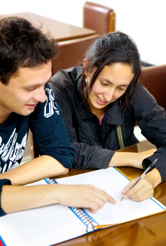 Two Classmates, a Man and a Woman, Studying Together