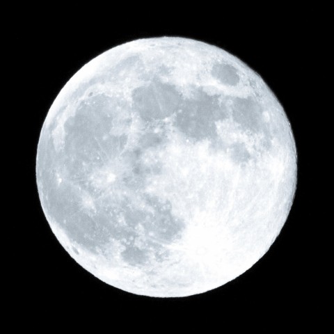 Full Moon In The Night Sky