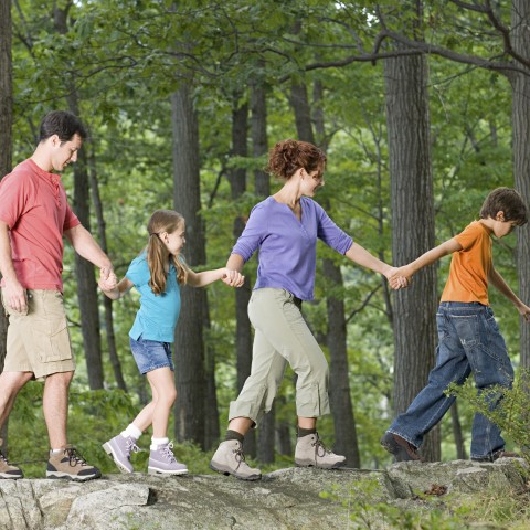 A Family Enjoys a Walk in the Woods.