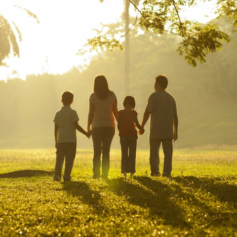 Family Walking in a Park Holding Hands