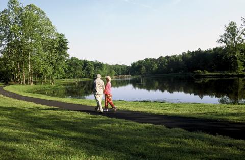 An Old Couple Walking Together in a Park