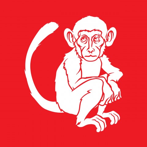 A drawing of a monkey