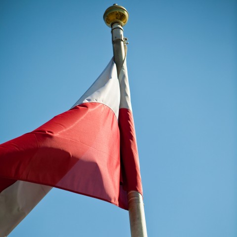 A Polish Flag