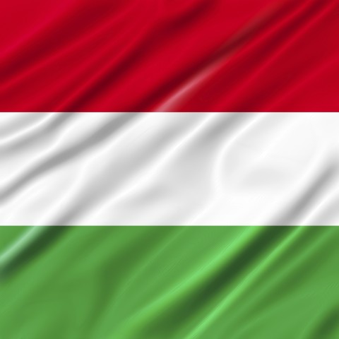 Hungarian Flag