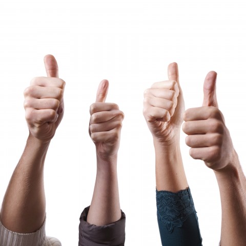 Four Hands Showing Thumbs Up