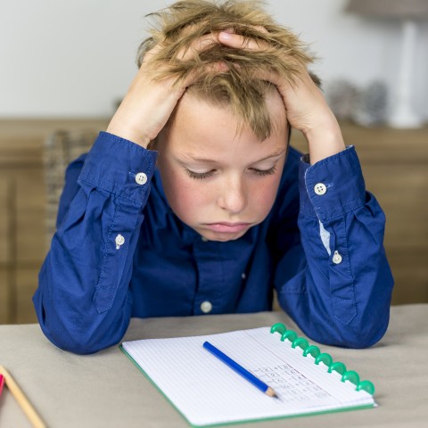 A Little Kid Frustrated with His Homework