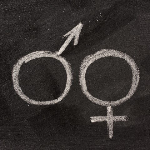 The Symbols of Male and Female Genders Drawn on a Blackboard