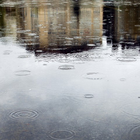 A Puddle Reflecting Buildings while It’s Still Raining