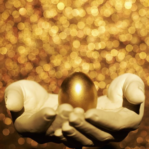 A Golden Egg