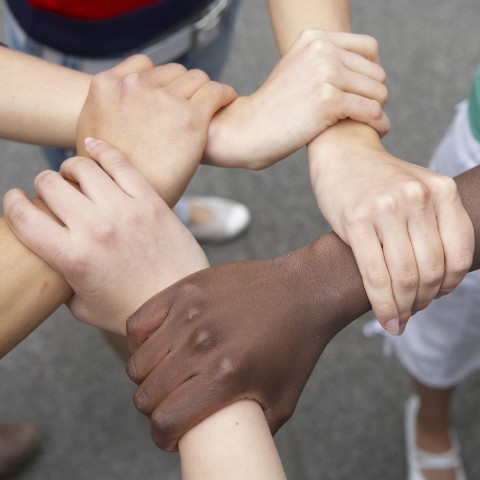 People Holding Each Other’s Wrists in a Circle of Unity