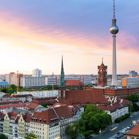 Roofs of Berlin and the Fernsehturm