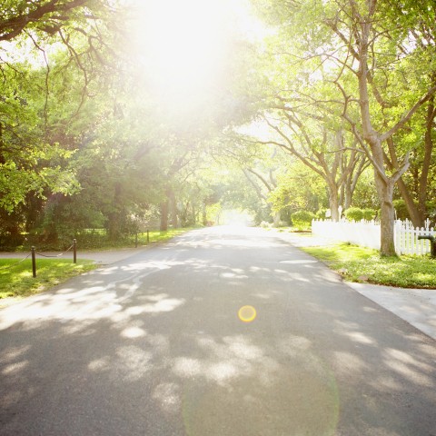 A Sunny Day in a Neighborhood