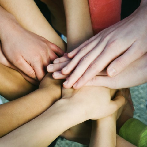 People Placing Their Hands Together