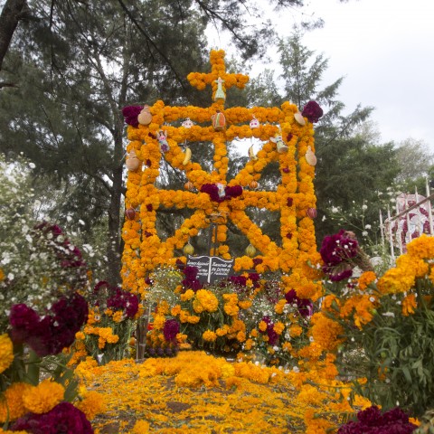 A festive day of the dead decoration