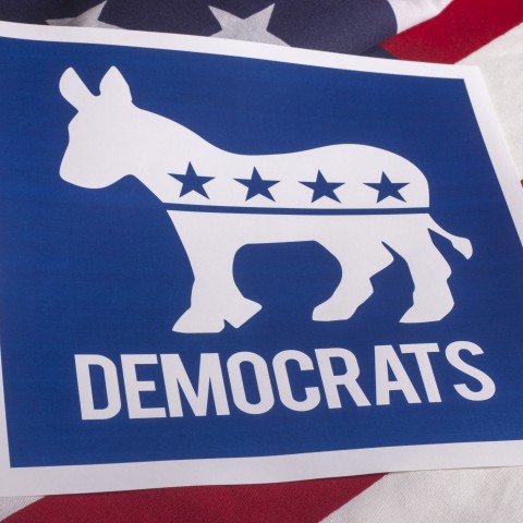 The Democratic Party Logo