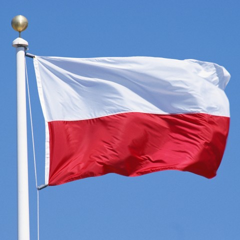 A Polish Flag