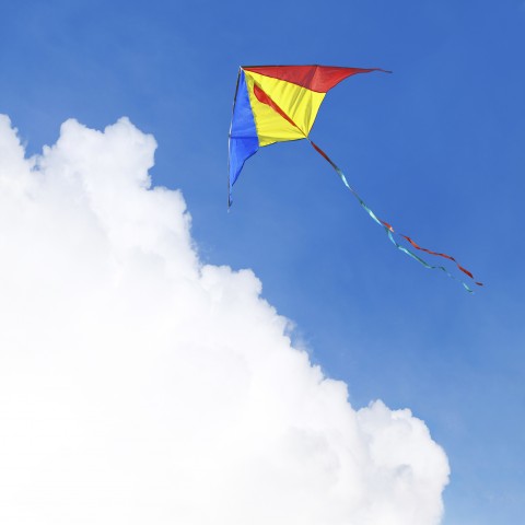 Kite on a Nice Day