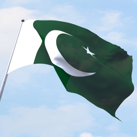 The Pakistan Flag