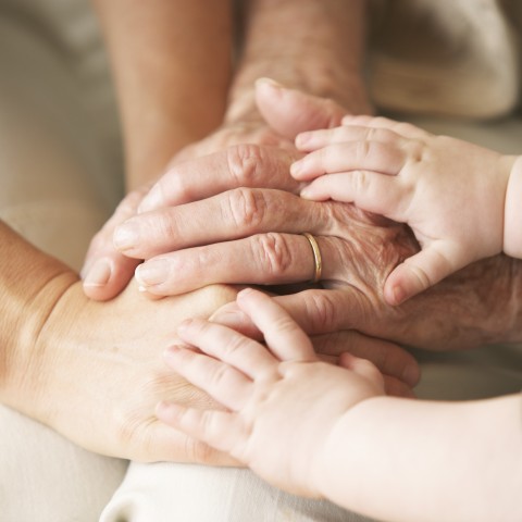 Several Family Members Stacking Their Hands 