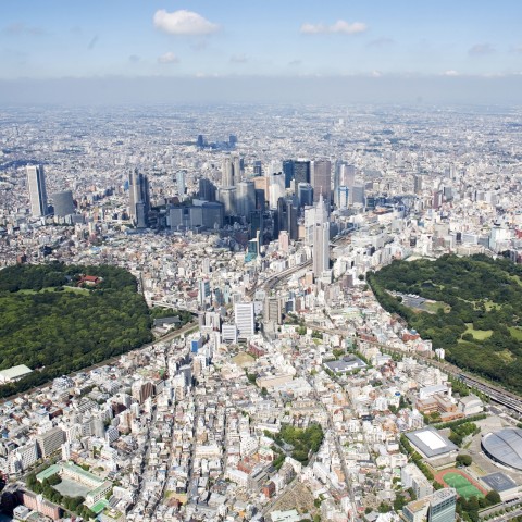 Japanische Skyline