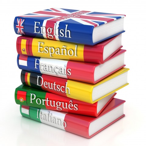 A Colorful Stack of Different Language Dictionaries.