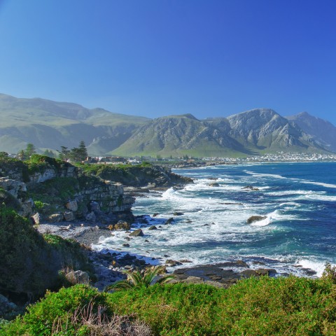 Coastal Scene with Natural Beauty
