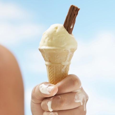 Hand Holding a Melting Ice Cream