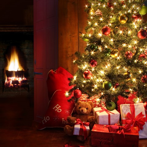 A Christmas Tree Next to a Fireplace