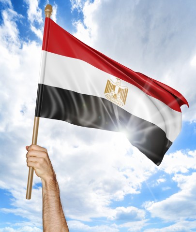 Someone Holding the Egyptian Flag