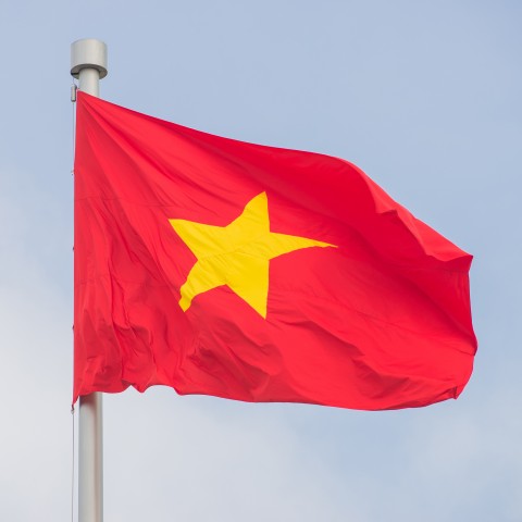 Vietnam Flag