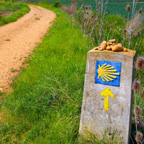 Direction Sign along Path