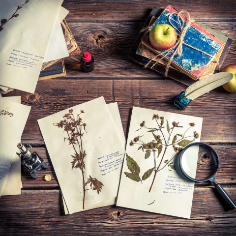 Retro School Paraphernalia, Magnifying Glass with Herbaria Viva, Quill and Ink, Bundle of Books Bound with a String etc.