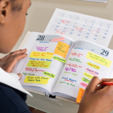 Person Looking at a Calendar