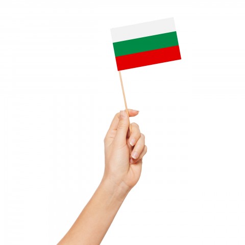 Someone Holding a Miniature Bulgarian Flag