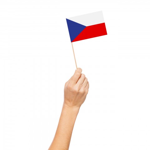 Czech Flag