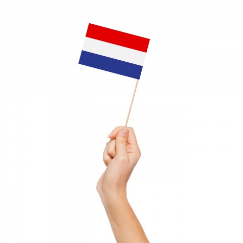 A Hand Holding the Dutch Flag